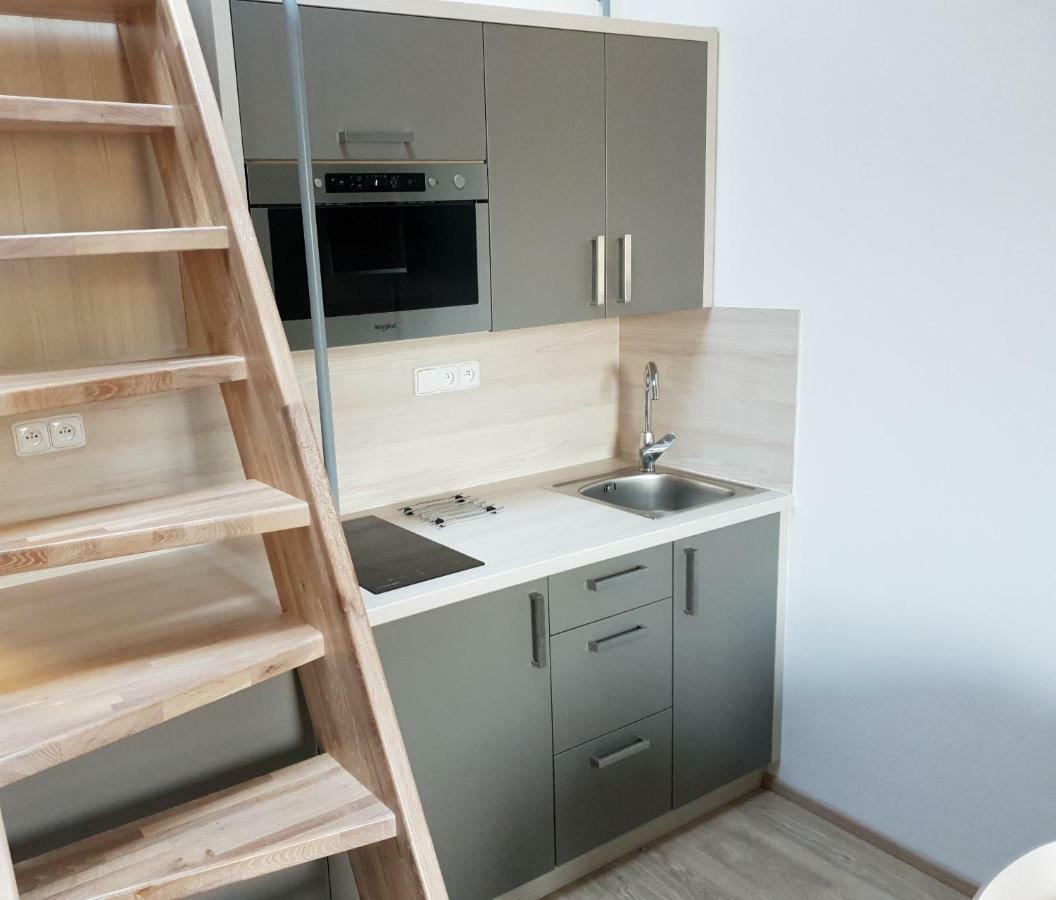 Apartman Pod Medvedi Horou Loučná nad Desnou Εξωτερικό φωτογραφία