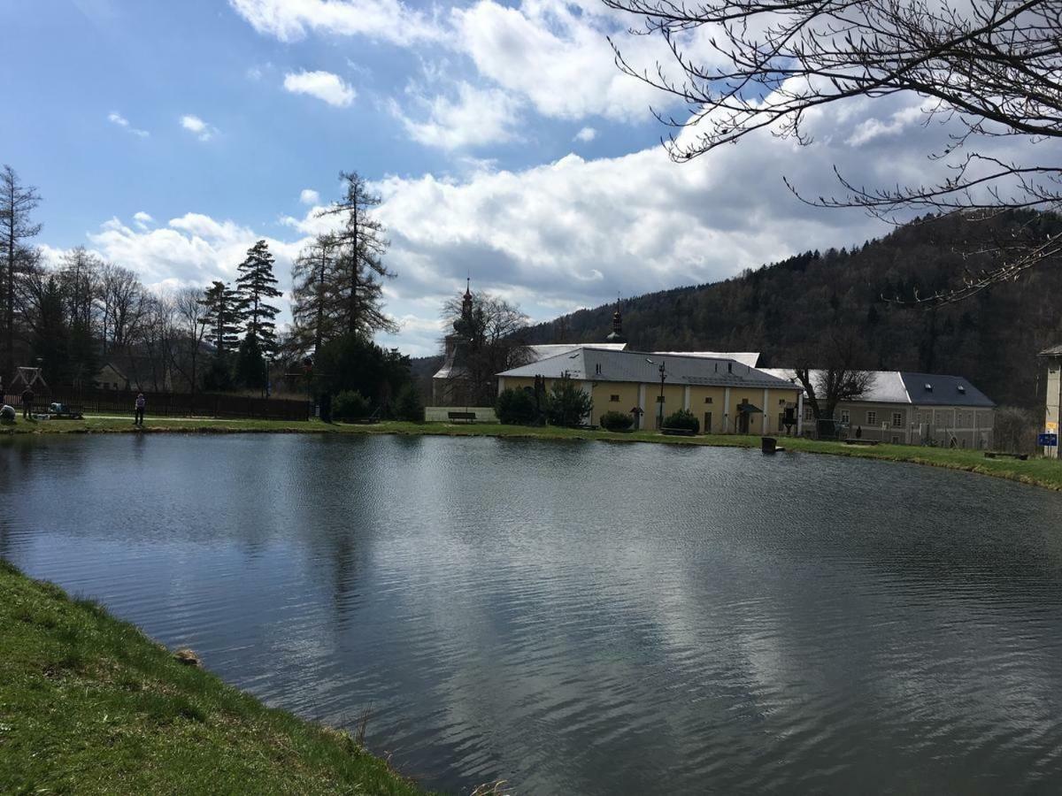 Apartman Pod Medvedi Horou Loučná nad Desnou Εξωτερικό φωτογραφία